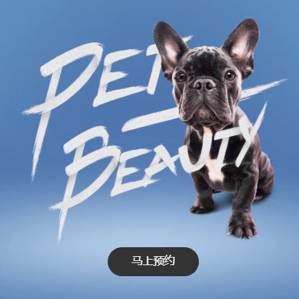 谢通门宠物中心小程序开发